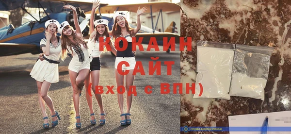 индика Белоозёрский