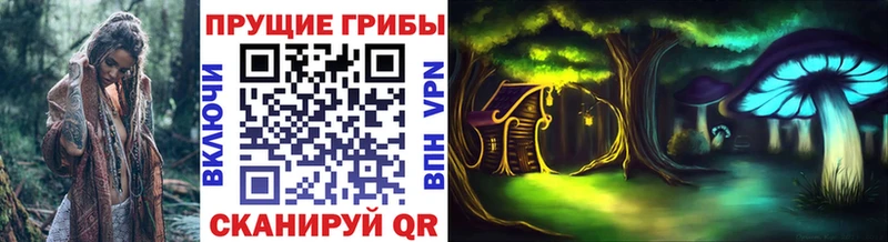 купить   MEGA ссылки  Псилоцибиновые грибы MAGIC MUSHROOMS  Верхняя Тура 